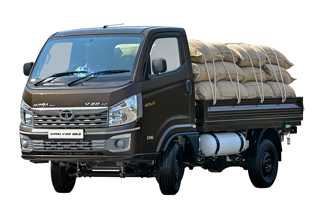 Tata Intra V20 Gold